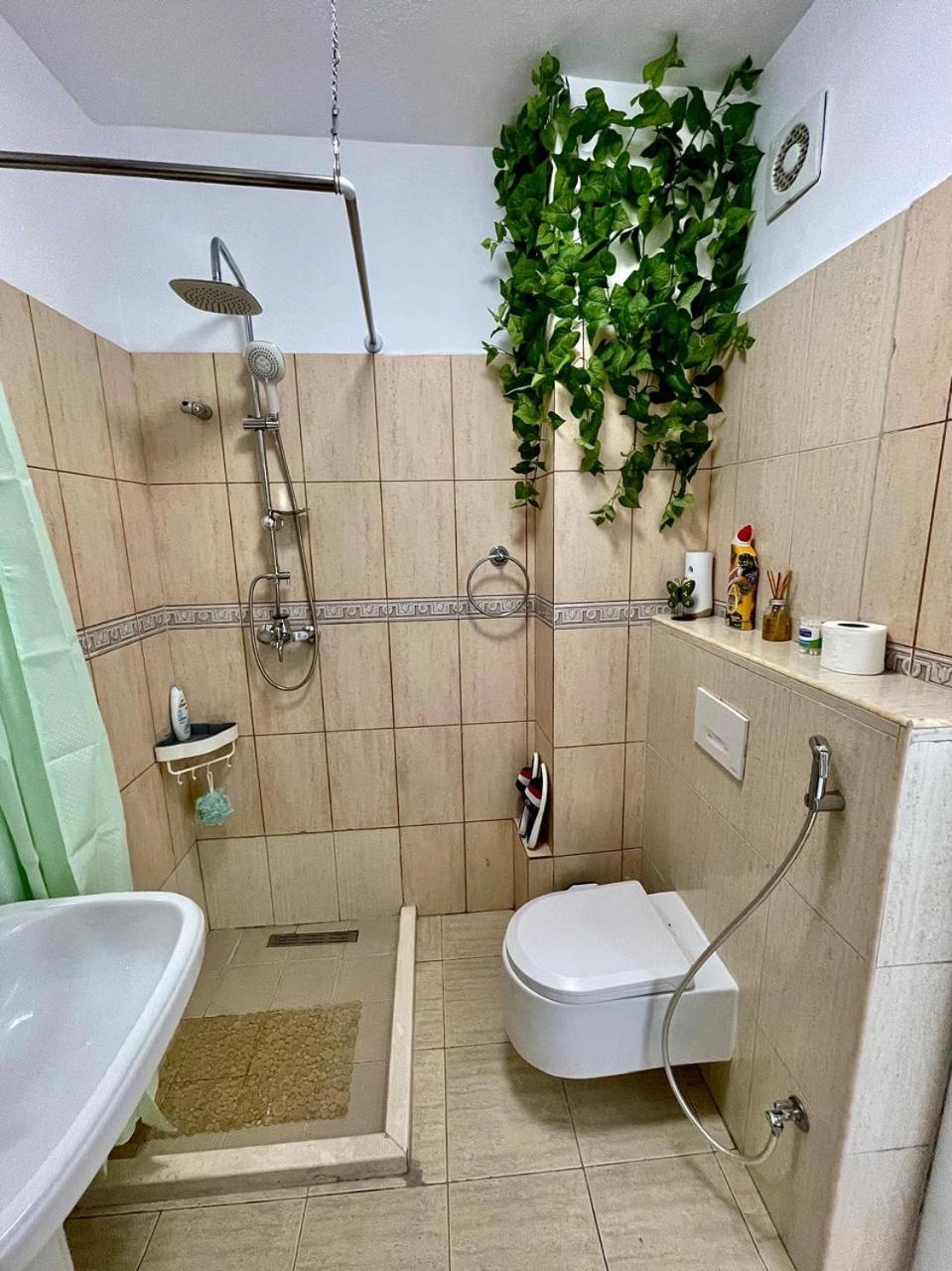 Flex Appartement
