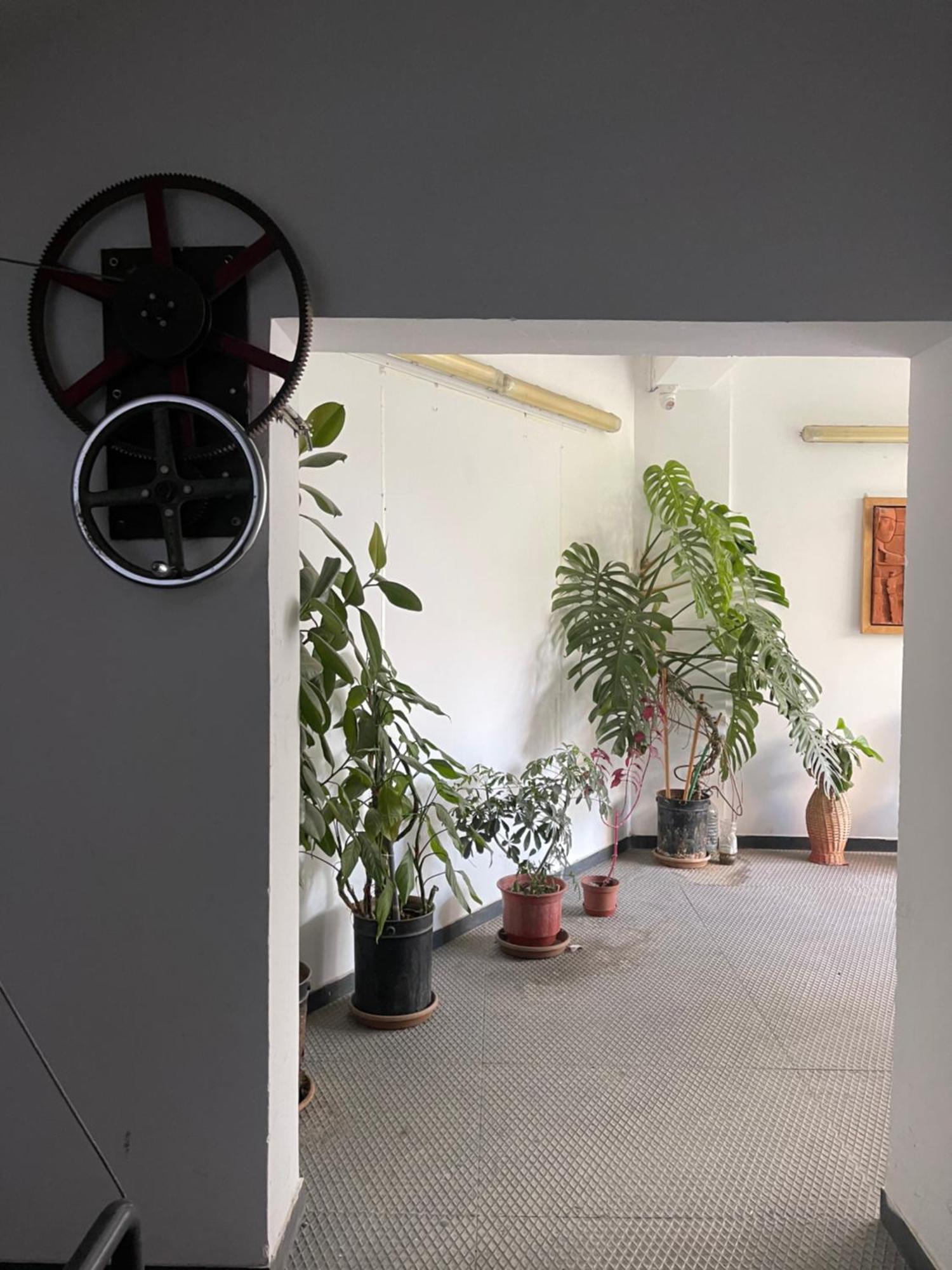 Flex Apartament